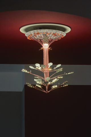 Fotograf: Andreas Reiter http://www.andreasreiter.com/